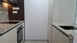 Tembusu Grand (D15), Condominium #524864611